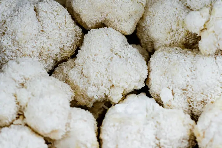 Lion’s Mane Explained: A Natural Way to Improve Cognitive Function and Reduce Inflammation