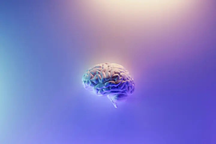 Boost Brain Health: The 5 Best Supplements to Improve Memory and Focus