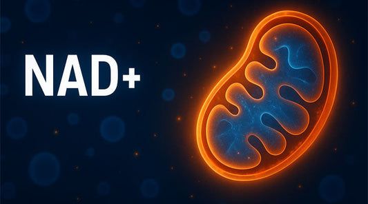 Unlocking the Power of NAD+: Boost Your Energy and Cellular Health