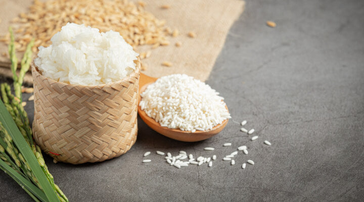 Discover the Power of PhytoCeramides for Radiant, Youthful Skin