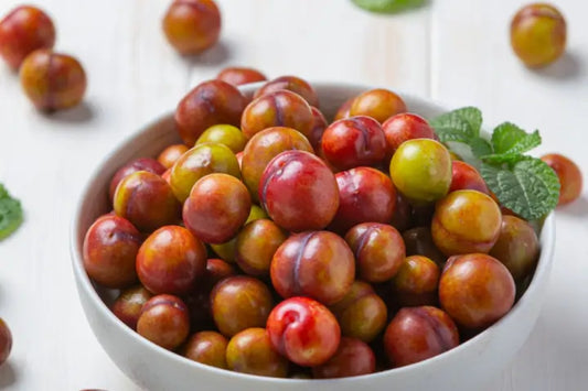 Boost Immunity and Energy with Camu Camu: The Amazon’s Secret Fruit