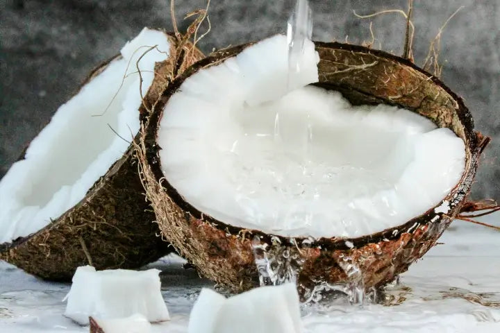 Coconut Water Powder Benefits: A Convenient Boost for Your Health and Hydration