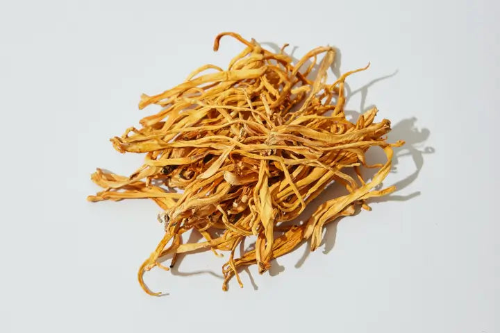 Unlocking the Power of Cordyceps: Nature’s Energy-Boosting Superfungus