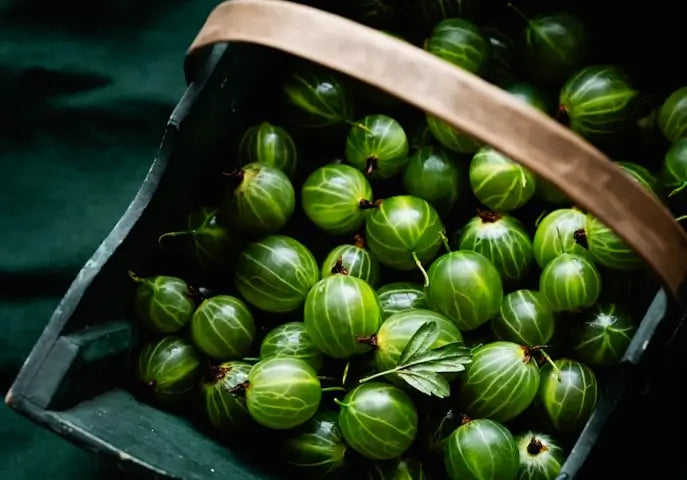 Indian Gooseberry: The Superfruit That Boosts Immunity and Glowing Skin