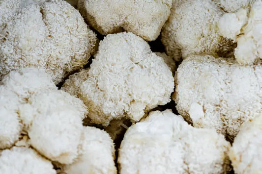 Lion’s Mane Explained: A Natural Way to Improve Cognitive Function and Reduce Inflammation
