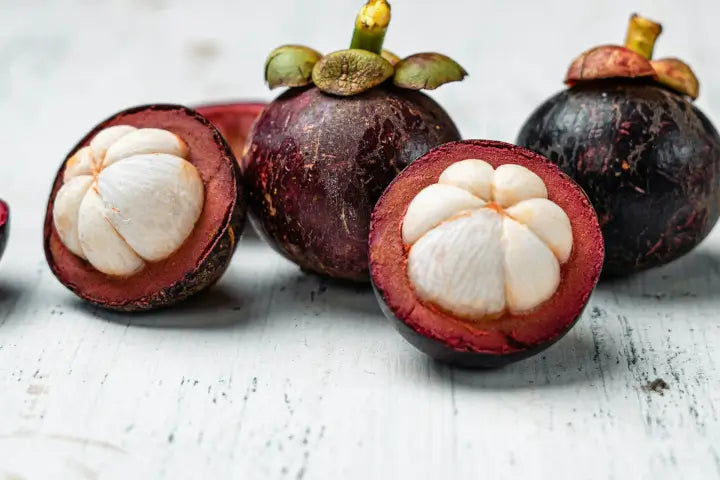 Mangosteen Extract Explained: Nature’s Secret to Better Immunity and Vitality