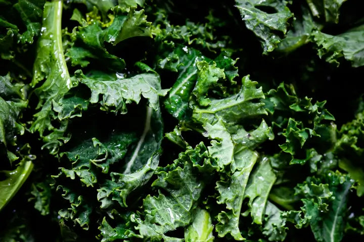 How Quercetin Can Enhance Your Wellbeing: The Science Behind This Superflavonoid