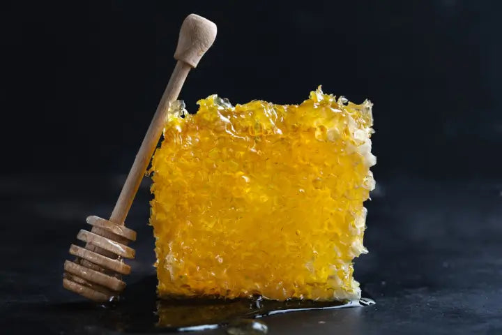Royal Jelly Revealed: Benefits, Uses, and Why You Should Add It to Your Diet