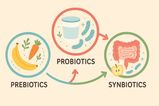 Discover the Power of Synbiotics: How They Boost Gut Health and Immunity